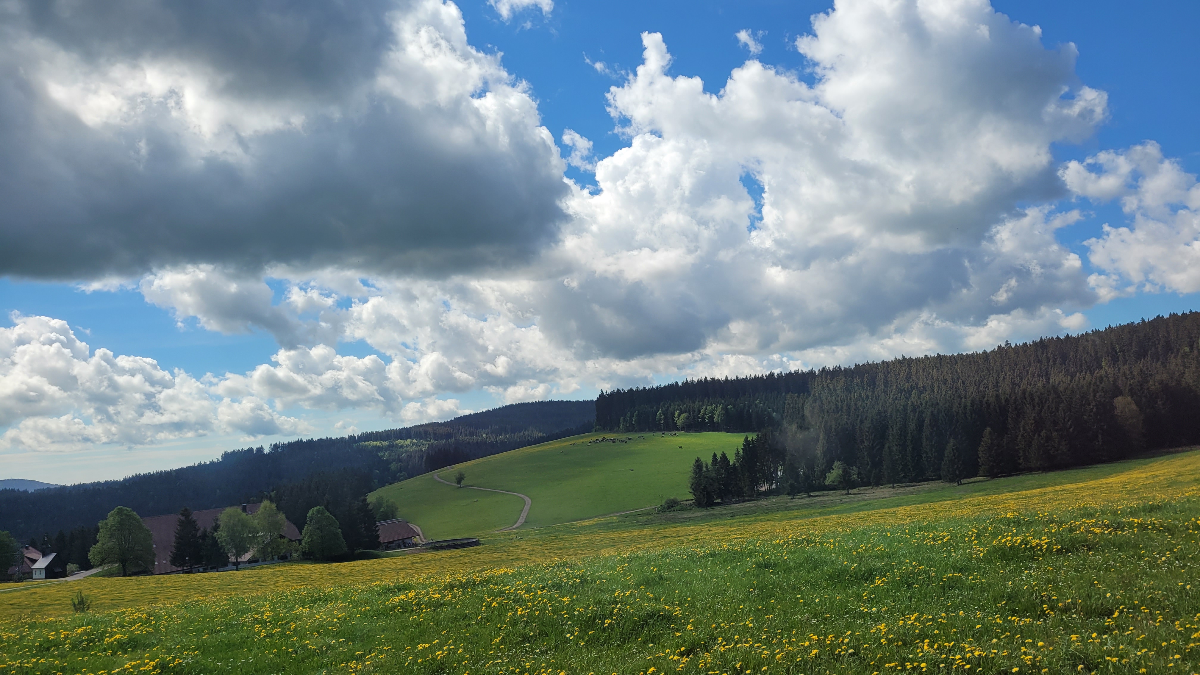 20260509_110317.jpg