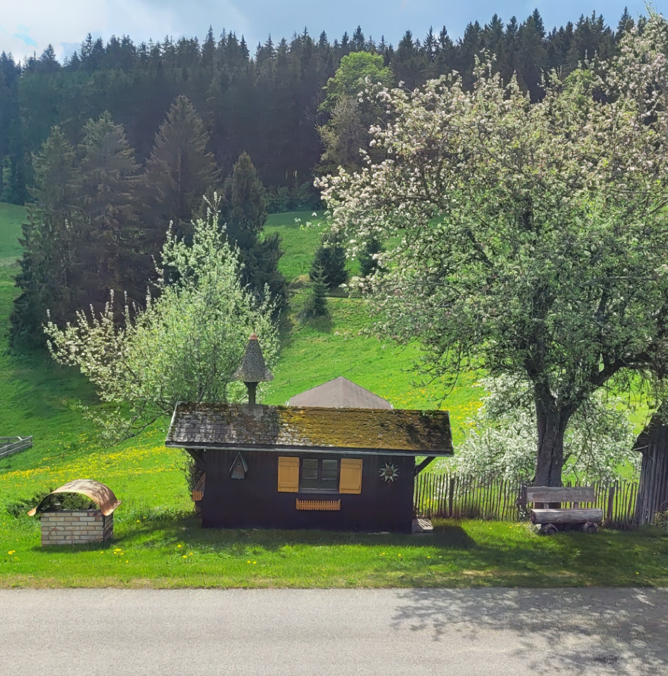 20260509_113626.jpg