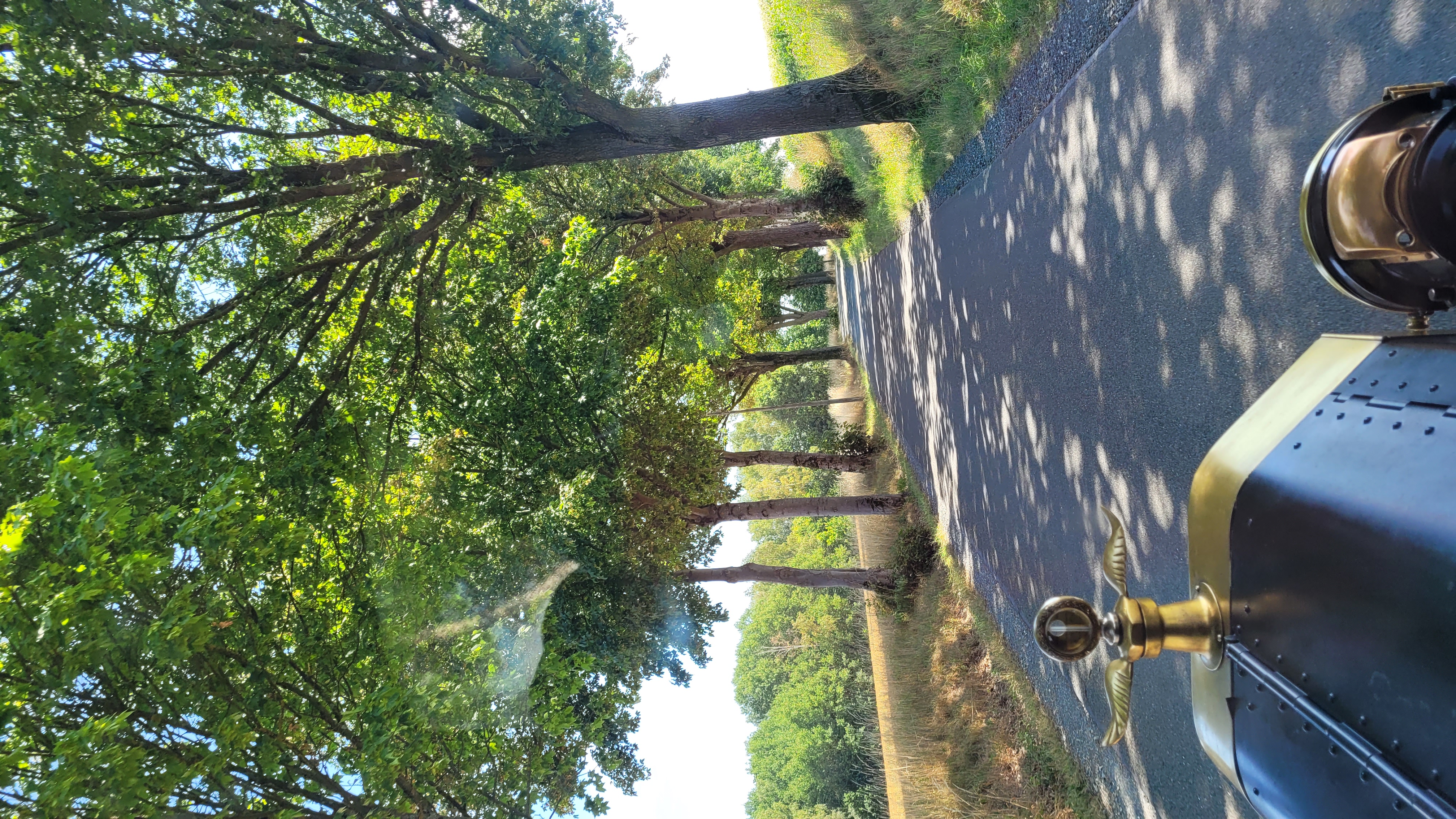 20260802_123951.jpg